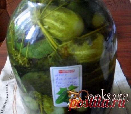 Маринованные огурцы !!!!!!!!