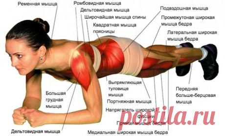 Вот что будет, если делать планку каждый день