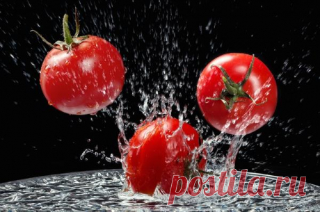 7 маленьких секретов выращивания вкусных помидоров / томаты / 7dach.ru