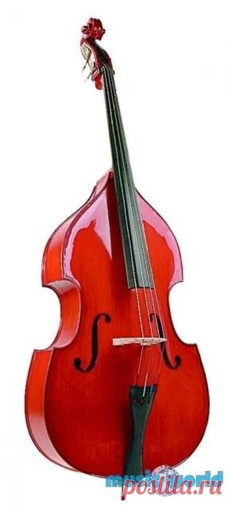контрабас в картинках: 32 тыс изображений найдено в Яндекс.Картинках