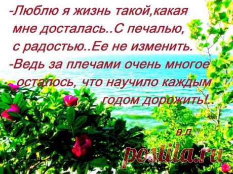 Одноклассники. Видео монаха Анания.