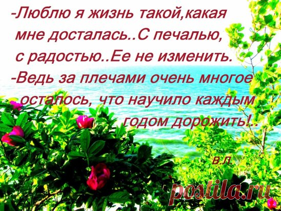 Одноклассники. Видео монаха Анания.