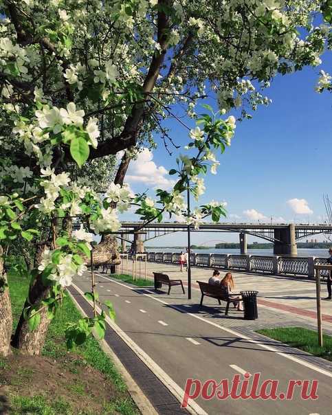 Ирина, доброе утро, весеннего настроения!