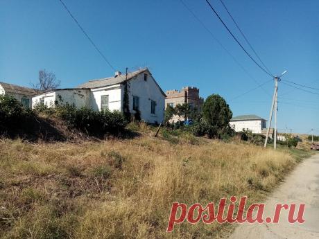 Мой дед избавлял дом от комаров, мух, моли, мокриц и вообще всех насекомых очень просто. Научу: нужна лишь сковорода и камфора | Первый дачный | Яндекс Дзен