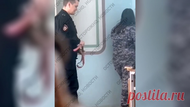 Военрук техникума на Урале ставил студенток на колени и просил покупать ему игры. Студенты техникума в Каменске-Уральском рассказали, что их преподаватель, старший лейтенант полиции Иван Корсак ставил их на колени в угол, угрожал электрошокером и шлепал ремнем по ягодицам. Адвокат одной из пострадавших девушек Сергей ...
