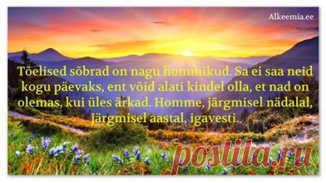 (104) Alkeemia.ee