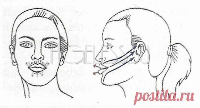 Упражнения для увеличения объема губ (Б. Кантиени) » Портал Ageless. Библиотека уникальных методик по соматической и мануальной самокоррекции лица и тела. Гимнастики для лица, коррекция постановки тела, снятие мышечных зажимов, омоложение кожи, отстранение возрастных изменений лица и тела. Массажные практики. Японские, европейские, авторские методики