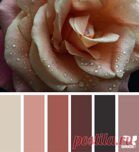 Pinterest: инструмент для поиска и хранения интересных идей