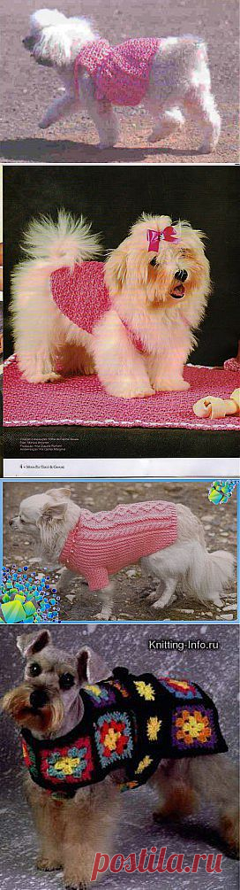 Вязание для собак | Вязание крючком и спицами
