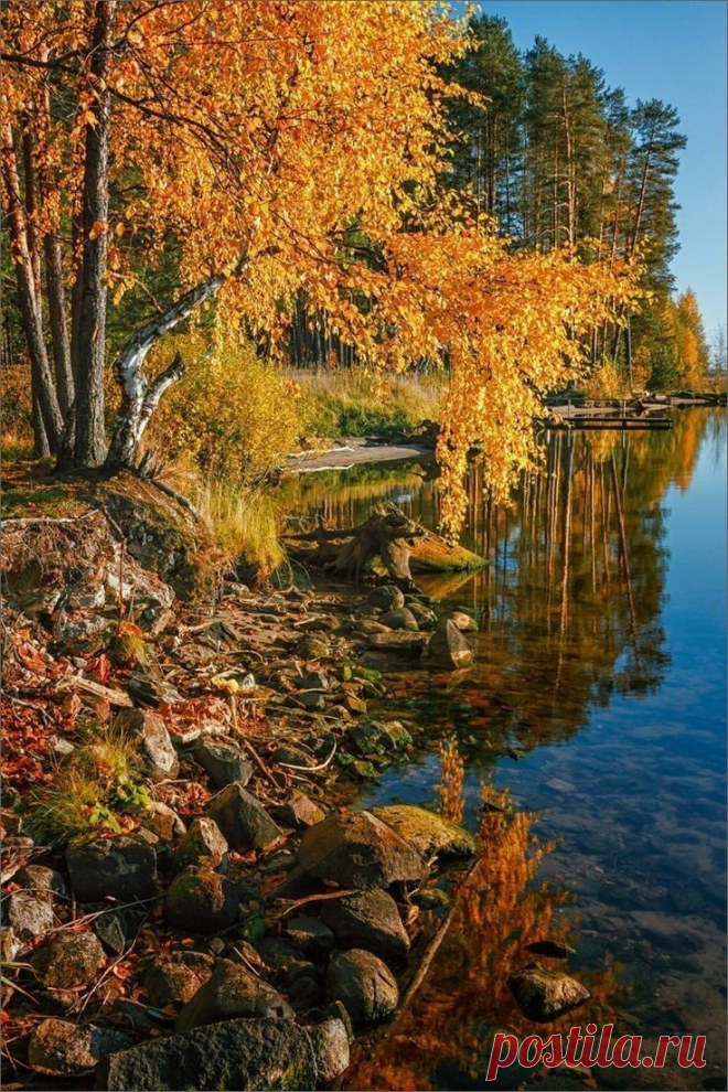 i (736×1104)