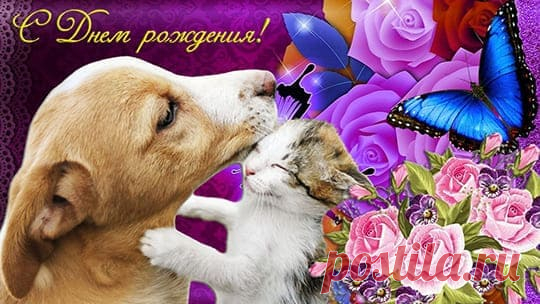 🟡 Открытки с Днем рождения скачать на kakchtogde.ru - КакЧтоГде