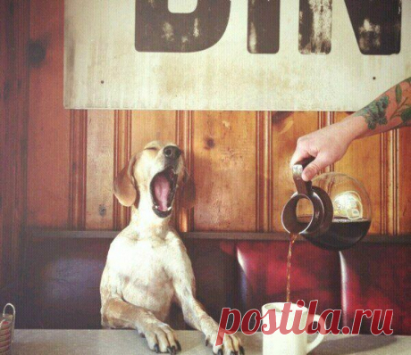 Доброму человеку бывает стыдно даже пе / Понимание бизнеса