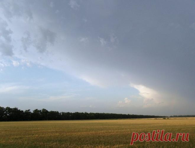 Ожидание - 13 Ноября 2015 - Персональный сайт