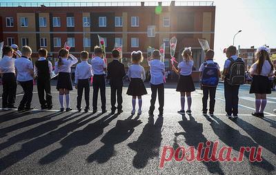 Около трети россиян получат поддержку по нацпроекту "Молодежь и дети". Работа по нацпроекту включает в себя строительство и ремонт школ, обновление педагогических университетов, формирование образовательно-производственных центров и кластеров профподготовки, инженерных школ