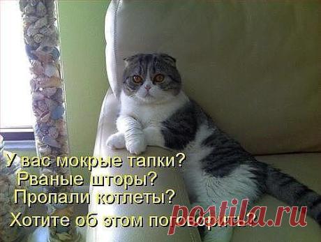 Интересные новости
