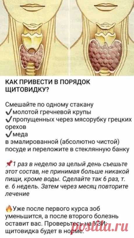 Изображение пина-истории