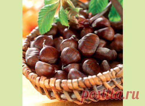 Каштаны – парижская романтика