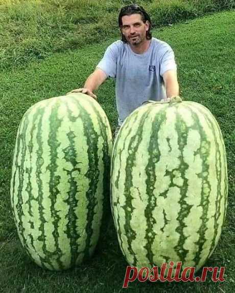 СДЕЛАЙ САМА — Фото | OK.RU