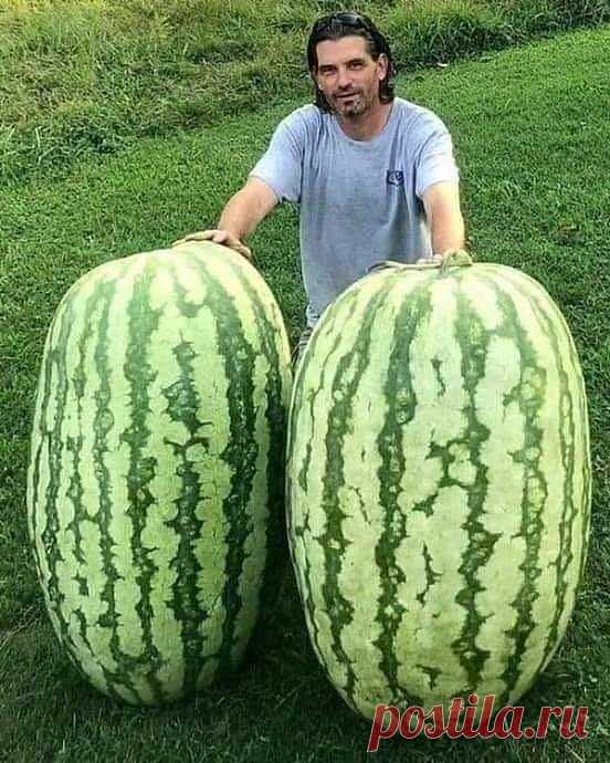 СДЕЛАЙ САМА — Фото | OK.RU