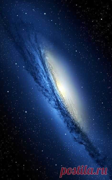 Coffeenuts | NATURE / UNIVERSE