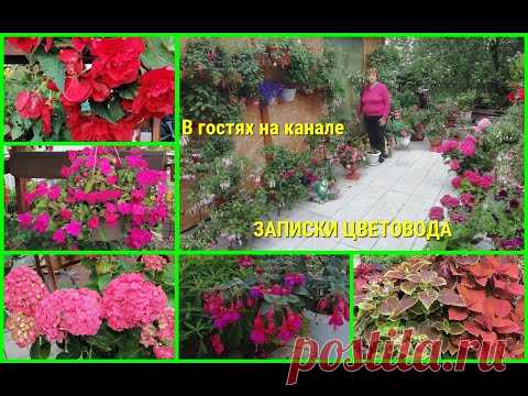🦋🌹🌾Зашла в гости на канал 