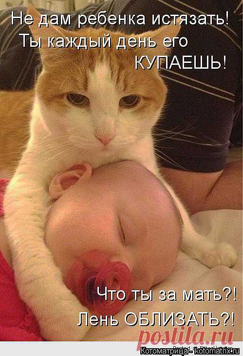 kotomatritsa_yM.jpg (Изображение JPEG, 499 × 730 пикселов) - Масштабированное (95%)