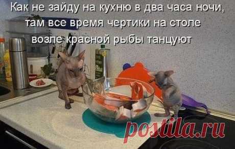 Интересные новости