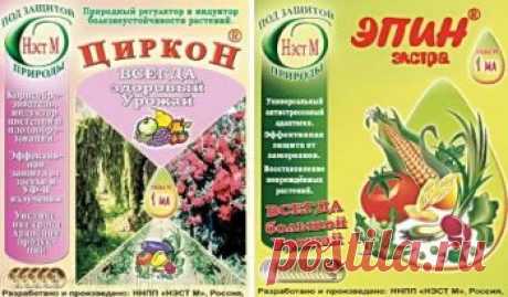 Замачивание семян в биостимуляторах перед посадкой | Дача - впрок