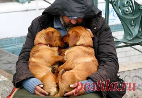 Best Friends