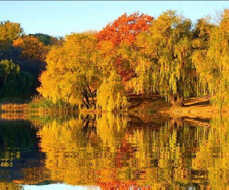 23 СЕНТЯБРЯ ДЕНЬ ОСЕННЕГО РАВНОДЕНСТВИЯ .