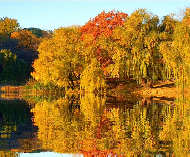 23 СЕНТЯБРЯ ДЕНЬ ОСЕННЕГО РАВНОДЕНСТВИЯ .