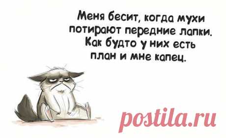 Вредный журнал