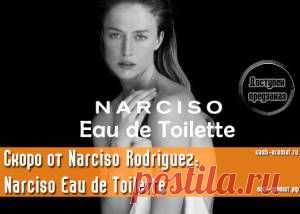 Скоро на прилавках: Narciso Eau de Toilette от Narciso Rodriguez