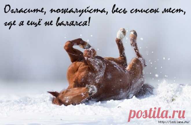 Что означает выражение «ещё конь не валялся»?