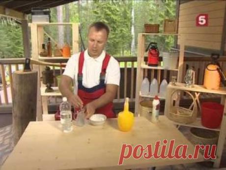 Средство от сорняков: "Проще простого!"