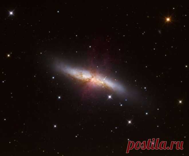 В действительности астрономы никогда не ищут сверхновые по стрелочкам на картинке. Но на этой фотографии, сделанной 23 января этого года, стрелочка и вправду указывает на реальную сверхновую, вспыхнувшую недавно в яркой галактике M82 и записанную в каталог под номером SN 2014J. Галактику M82, расположенную рядом с Большим Ковшом на небе Земли, ещё называют галактикой Сигара. Это довольно популярный объект для наблюдения в небольшие телескопы северного полушария.