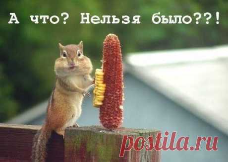 Вероника Петренко