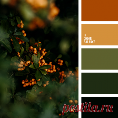 IN COLOR BALANCE | Подбор цвета