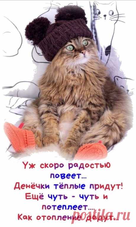 (6) Pinterest