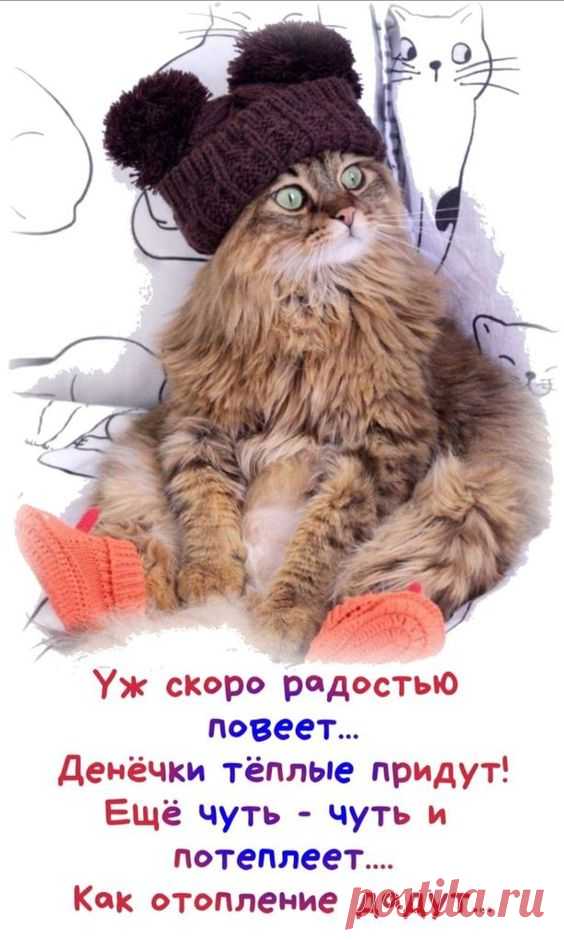 (6) Pinterest