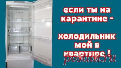КАК и ЧЕМ отмыть ХОЛОДИЛЬНИК от ЖИРА, ГРЯЗИ ЗАПАХА, ПЛЕСЕНИ Убрать ЖЕЛТИЗНУ с пластика #МАРИНАЖУКОВА | Марина Жукова, Домохозяйка, Эксперт, Блогер | Дзен