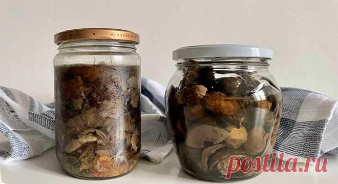 Маринованные подосиновики на зиму в банках - вкусные и простые рецепты Предлагаем 5 рецептов маринованных подосиновиков: от самого вкусного и простого до вариантов без стерилизации, с уксусом и с луком.