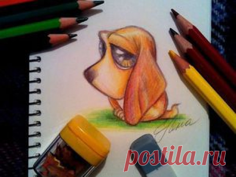 Мастер-класс: как нарисовать грустного щеночка цветными карандашами - Ярмарка Мастеров - ручная работа, handmade