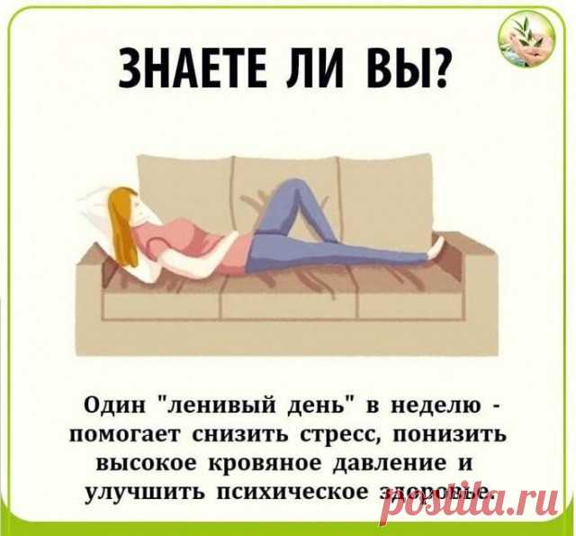 Знаете ли вы ?
