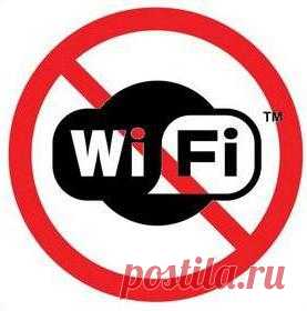 Беспроводное сетевое подключение: нет подключения. Самые распространенные проблемы