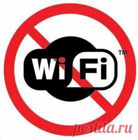 Беспроводное сетевое подключение: нет подключения. Самые распространенные проблемы