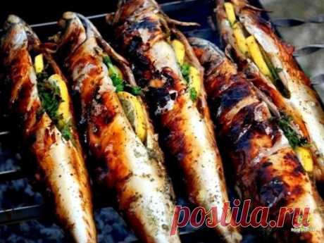 Фаршированная скумбрия на углях, в разы вкуснее, чем шашлыки.
Рыбу для этого можно использовать конечно же любую, но мы предпочитаем скумбрию, так в ней нет мелких костей, допустим как у сельди