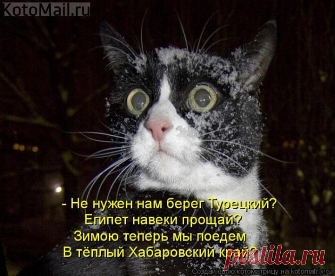 Глаза- зеркало души | KotoMail.ru