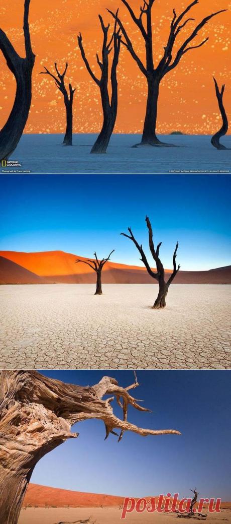 (+1) - Сюрреалистический парк Намиб-Науклуфт | Непутевые заметки
