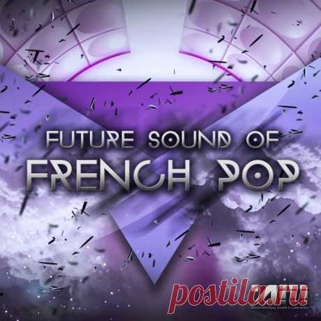Audio Masters Future Sound Of French Pop WAV MiDi AiFF  | 738 MB

'Future Sound Of French Pop' is a hot new product from Audio Masters, delivering the future sound of the French Pop music.

Inspired by Madeon among others, this product will give an instant boost to your career within the music industry.